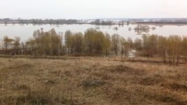Разлив Оки и Вобли смотреть онлайн