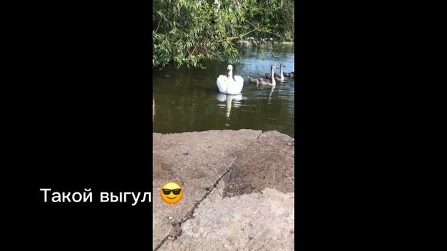 Выбрасываю вещи. Опять потоп. Сделали вытяжку ? Минск Мир ? смотреть онлайн