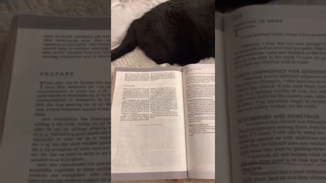 Ободрение. Восхищение очень скоро смотреть онлайн