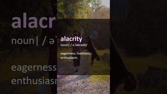 alacrity (n.) - eagerness; liveliness; enthusiasm. #WordOfTheDay #English #vocabulary #learn смотреть онлайн