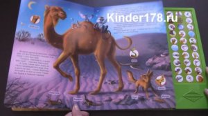 Детская музыкальная книга "Кто в Африке живёт?" Говорящая книжка. Азбукварик. Видео-обзор