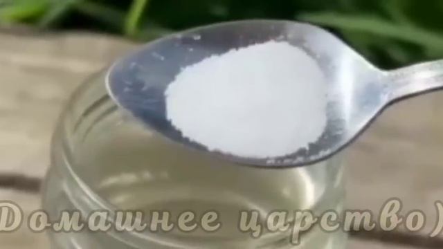 Борная кислота! СУПЕР ПОДКОРМКА ПОМИДОР ВО ВРЕМЯ ЦВЕТЕНИЯ ДЛЯ УВЕЛИЧЕНИЯ УРОЖАЯ смотреть онлайн