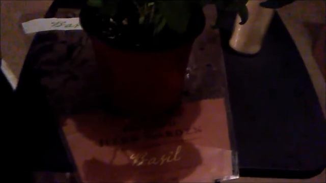 Magical Herbs: Basil смотреть онлайн