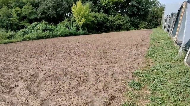Готовим землю под посадку клубники. смотреть онлайн