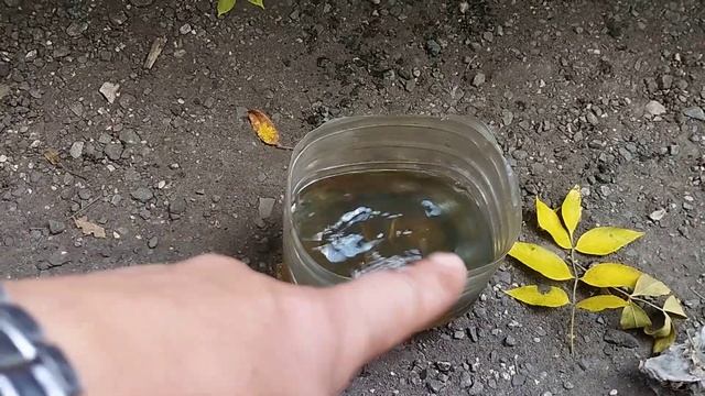 Как отмыть эффективно битум с машины смотреть онлайн