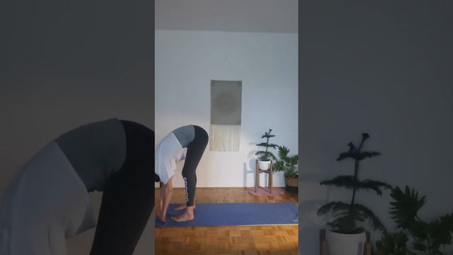 15 minutna joga sredi dneva смотреть онлайн