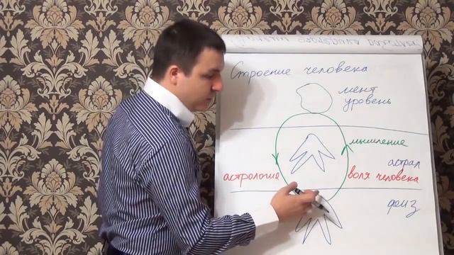 Строение человека смотреть онлайн
