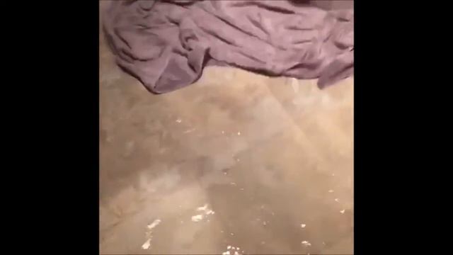 Condom Challenge Fail смотреть онлайн