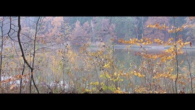 Jabkenický rybník Panasonic HC-VXF990 a Mavic Air смотреть онлайн