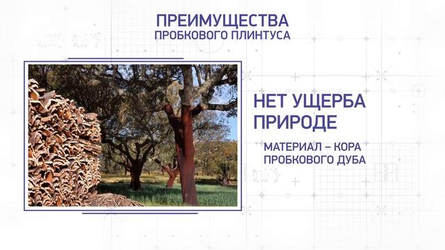 5 серия. Пробковый плинтус. Его особенности и монтаж. смотреть онлайн