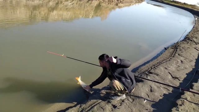 бешеный клёв на Сазана в ноябре, средний канал село Тушиловка смотреть онлайн