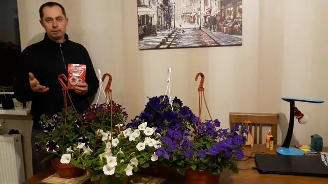 PLANTON S Удобрении для петунии! смотреть онлайн