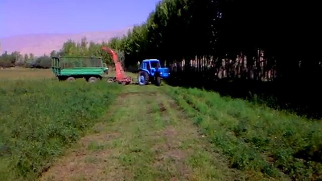 Мтз 80 кир 1.5 в таджикистан район А джами С Эенгльс 89257071416 смотреть онлайн