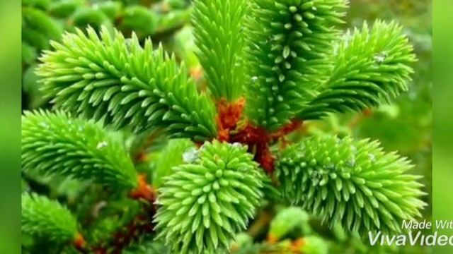 С первым снегом❄️ смотреть онлайн