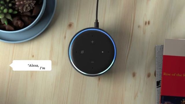 Smart Speaker brand in India with Alexa (Black) (3rd Gen) смотреть онлайн