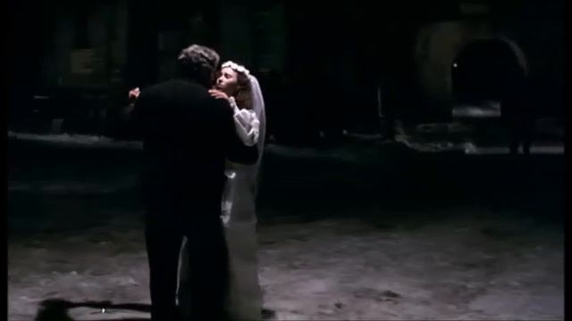 Το μετέωρο βήμα του πελαργού -  Θόδωρος Aγγελόπουλος