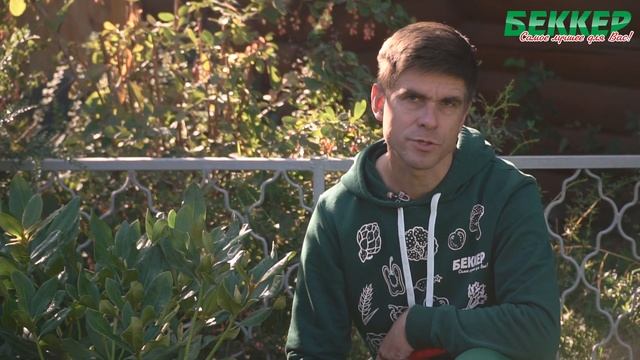 Подготовка рододендрона к зиме: обрезка и укрытие. Осенний уход за рододендроном смотреть онлайн