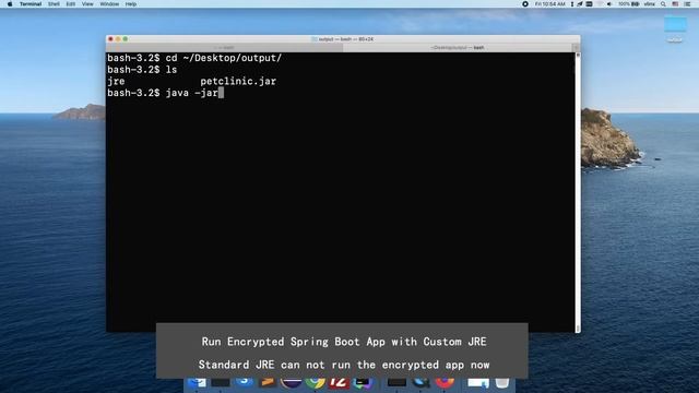 Protect Spring Boot App with Protector4J смотреть онлайн