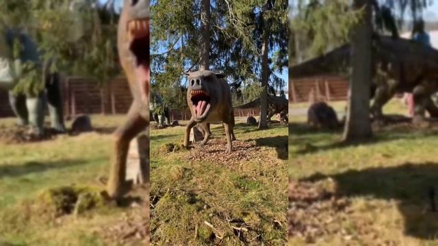 Дино парк в Закопане Польша... смотреть онлайн