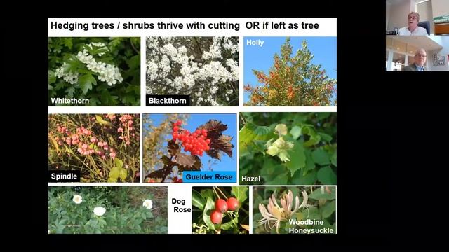 Growing Hedges for a Sustainable Future - The Signpost Series Webinar смотреть онлайн