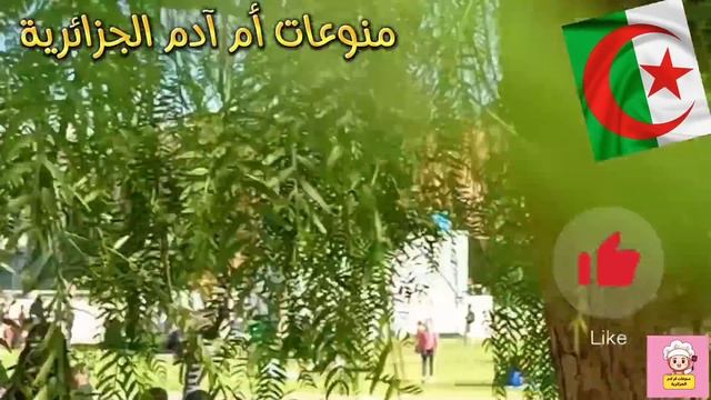 البرلماني الذي ينتفض في وجه وزيرة التضامن بشأن جديد منحة الجزافية في عام 2024 /بشرى سارة смотреть онлайн