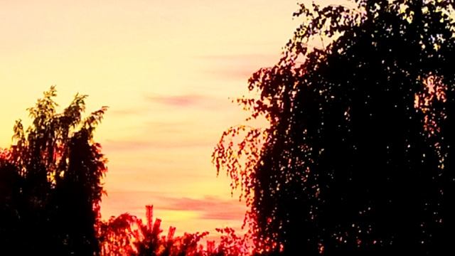 Воскресная школа_урок 9. Жизнь после потопа. Вавилонская башня. смотреть онлайн