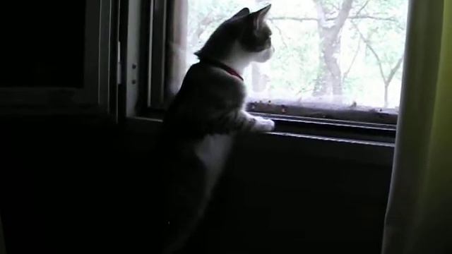 Где-ты милый смотреть онлайн