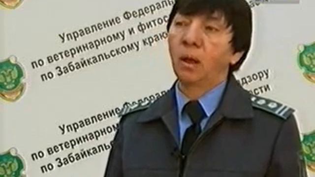 некачественные семена смотреть онлайн