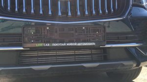 Адаптеры для Geely Monjaro, убрать писк парктроника.