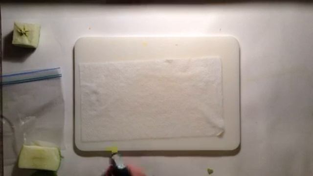 Growing a granny Smith apple tree from seed смотреть онлайн