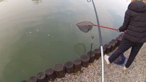 Ловим Форель на бомбарду