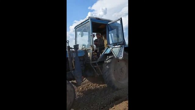 Сорт Розара смотреть онлайн