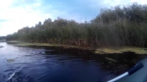 Обзор удилища Maximus Work Horse-X 22UL