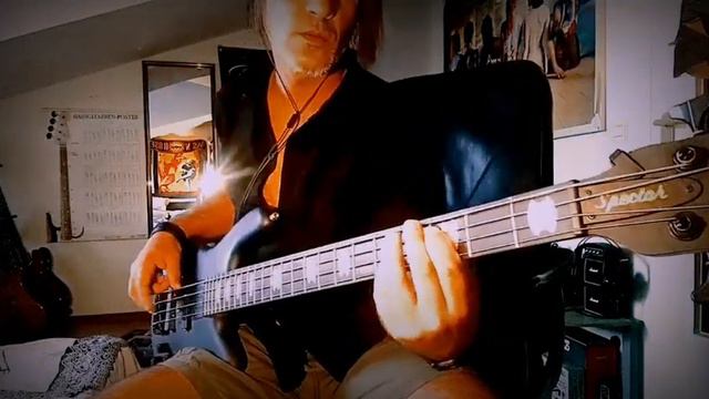 Tina Turner - The Best  {Bass Cover}   #RipLegend #thebest #spectorbass