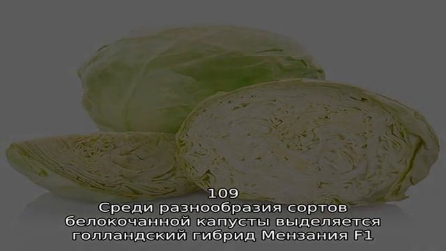 Капустные смотреть онлайн