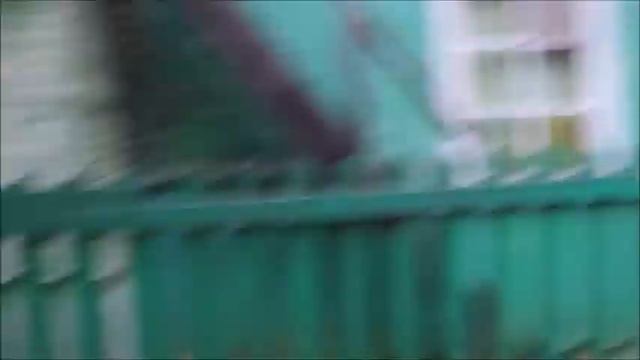 ДАЧА/РЕКЛАМА УДОБРЕНИЯ/ОХОТА ЗА КОШКОЙ смотреть онлайн