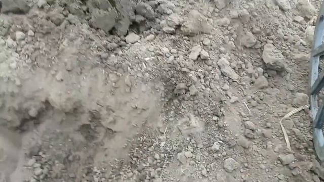 Копаю монетки в сельском огороде. Результат - СУПЕР...!!!! смотреть онлайн