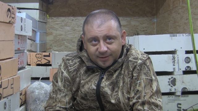 Разведение червей, весна начало сезона. Как продажи? Дедробена как бизнес. смотреть онлайн