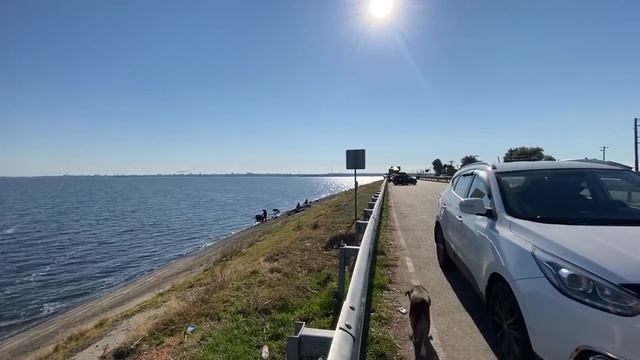 VLOG: А МОЖЕТ ВТОРОГО??ВИТА РОДИЛА РЕБЁНКА?