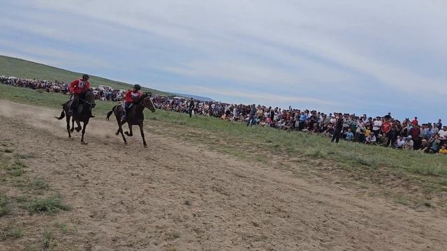 Наадым-2023. Аът чарыжындан тускай видео-репортажы. 4k смотреть онлайн