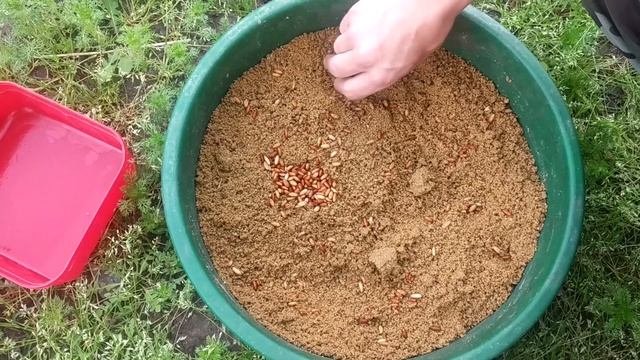 Кастер что это такое??? как использовать? как насаживать на крючок? как добавлять в корм? смотреть онлайн