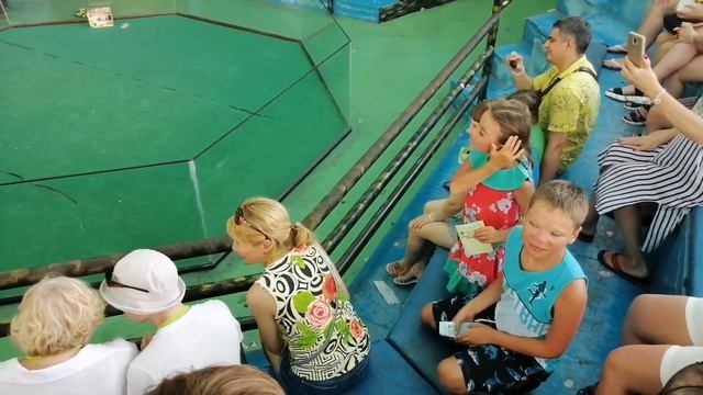 Шоу со змеями в Паттайе. Змеиная ферма. смотреть онлайн