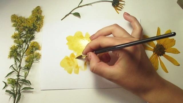 Жёлуди акварелью. Осенние рисунки. смотреть онлайн