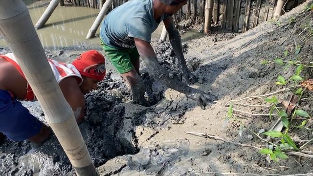 Best Eel Fishing | Yellow Monster Eel Fish Catch From Under Deep Mud Water