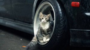 Самая крутая музыка басы без слов и АВ (авторских прав)