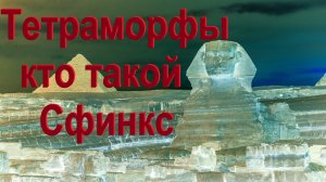 Тетраморфы (кто такой Сфинкс)