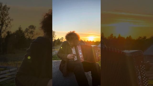 «Адажио», на концертной гармони.