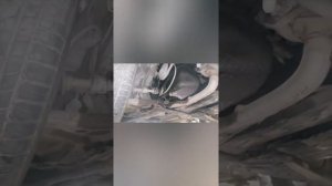 Тайота  ipsum 1996 замена гура