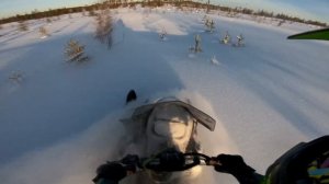 Прохват по болотам на снегоходах Arctic Cat snow pro m800 BRP ski-doo summit 800 Polaris rmk 800
