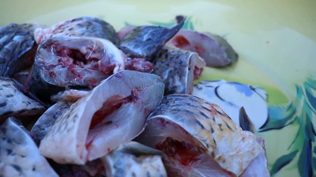 ЖАРЕННАЯ РЫБА | КОВУРИЛГАН БАЛИК | FRIED FISH | Рыбалка на реке Сырдарья! #ЦойЖарит рыбу ASMR смотреть онлайн